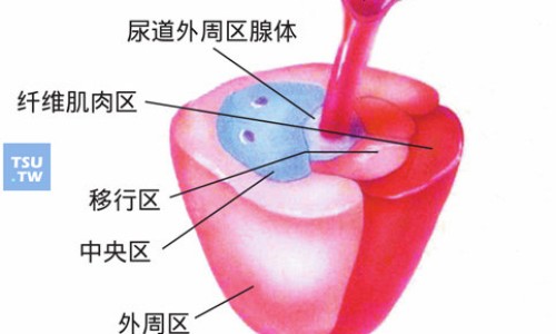 月见草胶囊副作用大吗-月草胶囊服用禁忌网- 月见草胶囊多钱瓶知识,分享月草胶囊服用禁忌是什么